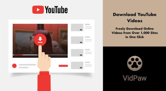  Download Videos with VidPaw