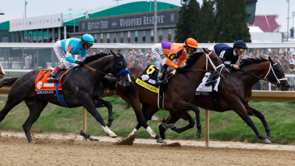 24 TVG Alternatives for 2024 [Best Horse Racing Streams]