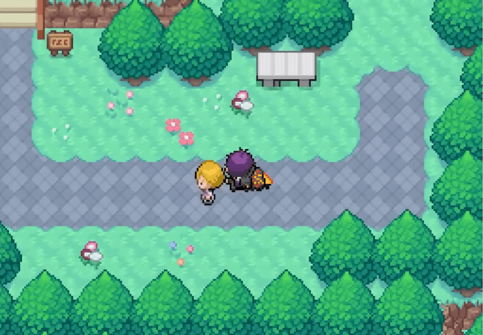 Pokemon Insurgence gameplay1