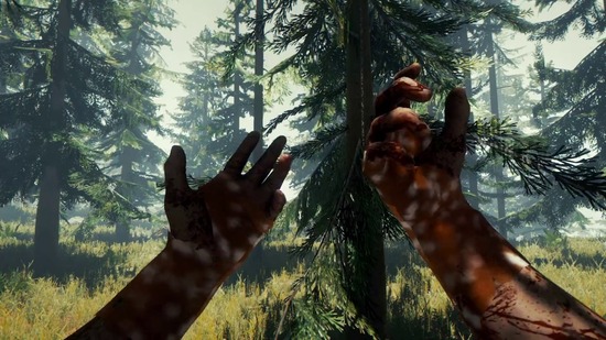 Does The Forest Have Cross-Play And Cross-Progression? Answered - Gamepur