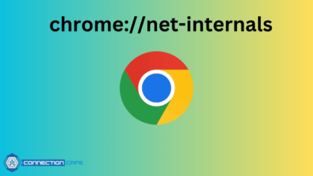 chrome://net-internals/