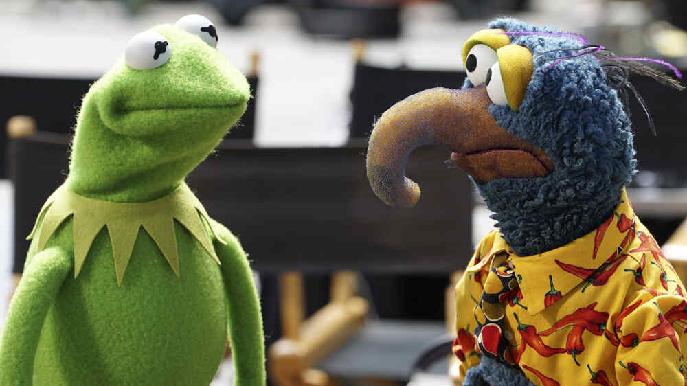 Meet the Muppet With The Long Hooked Beak