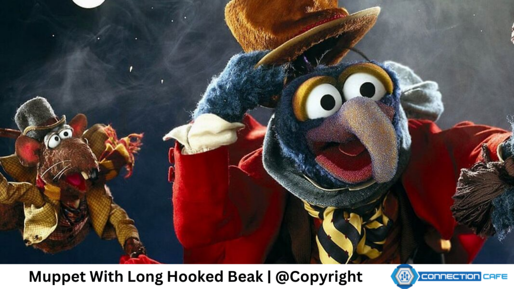 Muppet With Long Hooked Beak