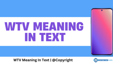 wtv meaning in text