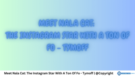 Meet Nala Cat The Instagram Star With A Ton Of Followers - Tymoff