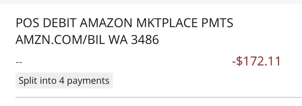 Telling Amazon Statement Charges