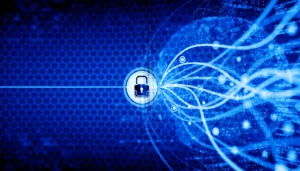 Why You Should Improve Network Level Protection for Business Systems
